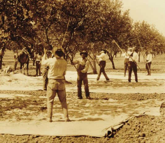 From Gold Rush to global leader: New book explores Californiaās agricultural history California Agriculture