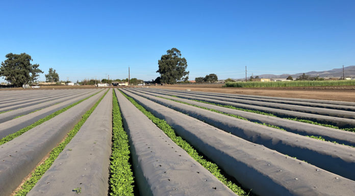 Organic Farming Research Foundation hosts congressional organic field day