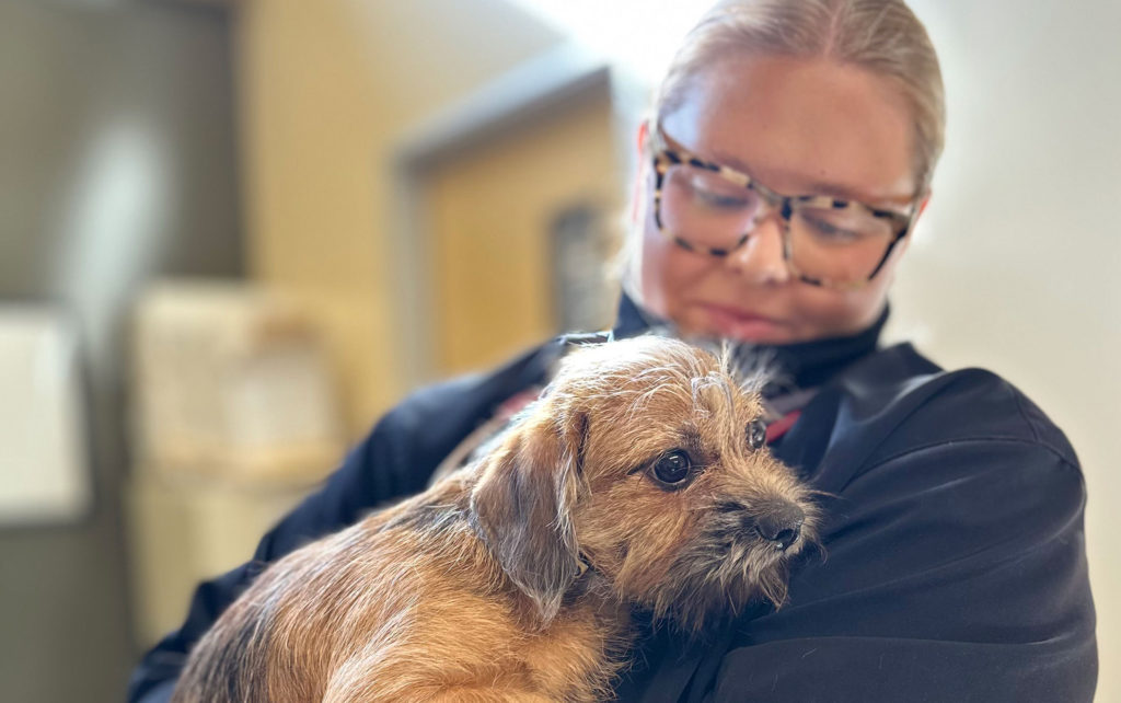 Image for display with article titled SPCA Monterey County Rescues Pets From Los Angeles Shelters Amid Ongoing Wildfires