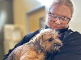 SPCA Monterey County rescues pets from Los Angeles shelters amid ongoing wildfires