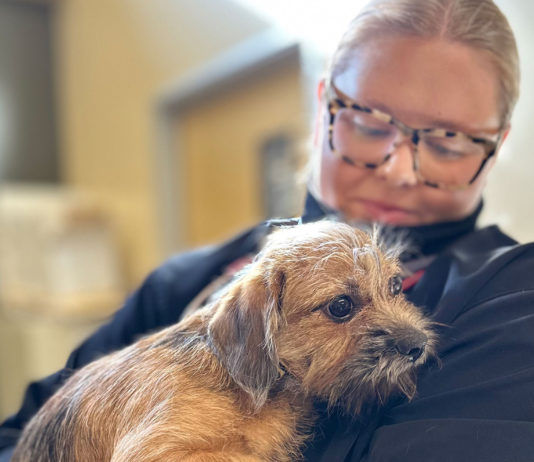 SPCA Monterey County rescues pets from Los Angeles shelters amid ongoing wildfires