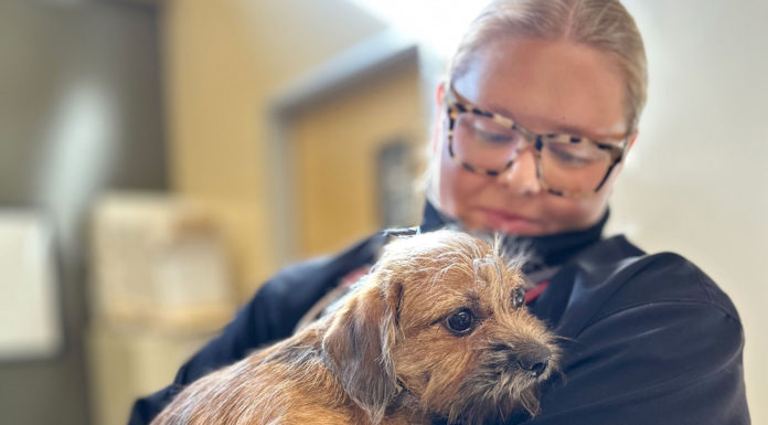 SPCA Monterey County rescues pets from Los Angeles shelters amid ongoing wildfires