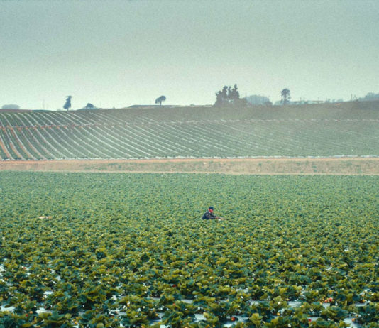 Documentary short film shines light on Salinas Valley