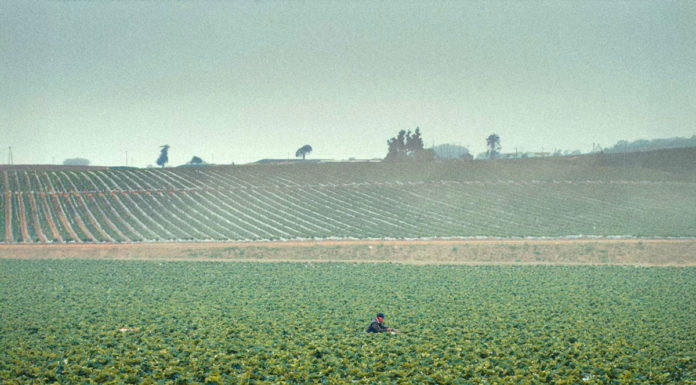 Documentary short film shines light on Salinas Valley