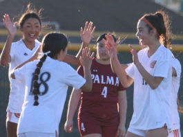 Soccer | South Monterey County teams lead divisions