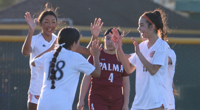 Soccer | South Monterey County teams lead divisions