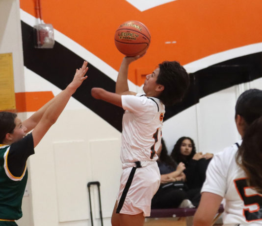 Basketball | South Monterey County teams competing for playoff berths