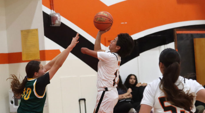 Basketball | South Monterey County teams competing for playoff berths