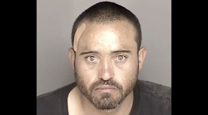 Suspect identified in shooting of 2 in fields south of Greenfield