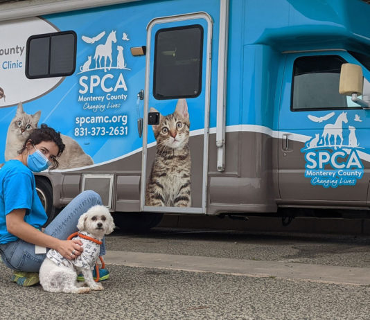 SPCA expands free mobile spay/neuter clinics in South Monterey County