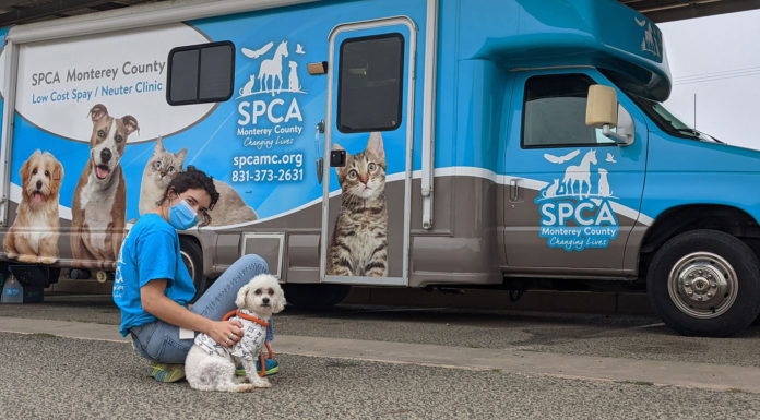 SPCA expands free mobile spay/neuter clinics in South Monterey County