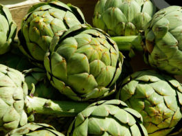 Artichoke Festival 2025 returns to its roots in Salinas Valley