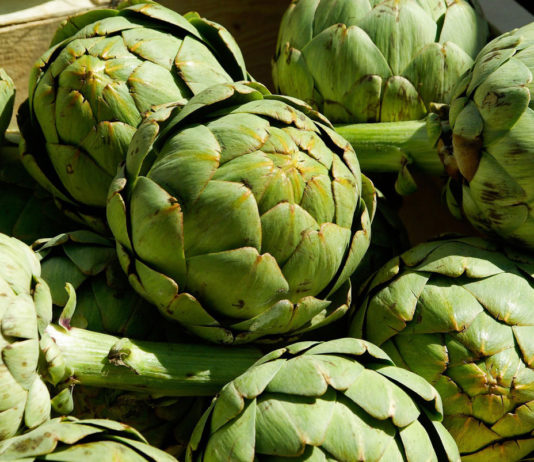 Artichoke Festival 2025 returns to its roots in Salinas Valley