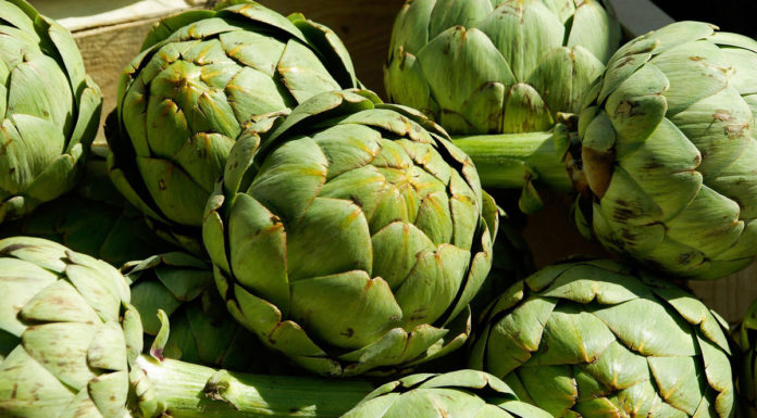 Artichoke Festival 2025 returns to its roots in Salinas Valley