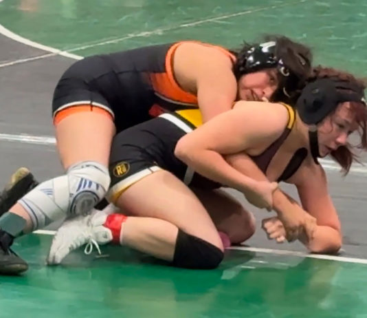 Wrestling | South Monterey County wrestlers qualify for regionals