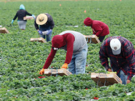 Immigration rights forum set for tonight in Greenfield