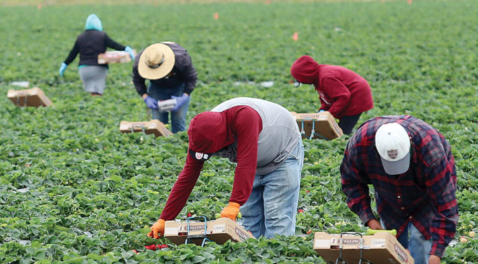 Immigration rights forum set for tonight in Greenfield