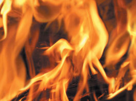 Cal Fire plans prescribed burn in South Monterey County starting March 22