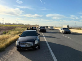 Greenfield Police arrest brothers in connection with gang violence