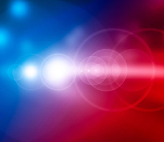 Salinas Valley Police Reports | Published April 2, 2025