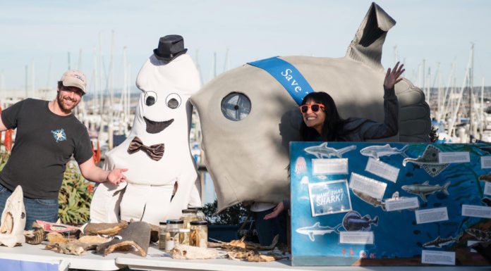 Whalefest Monterey 2025: A celebration of marine life set for April 12-13 Whalefest Monterey