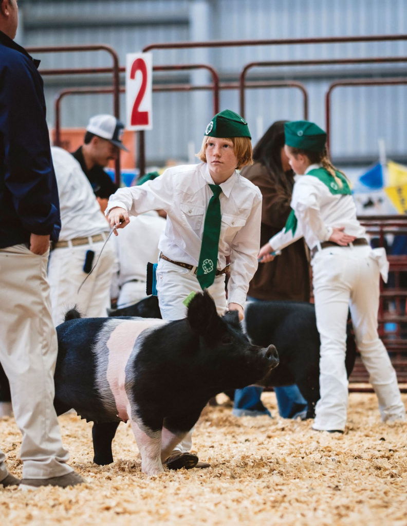 Salinas Valley Fair