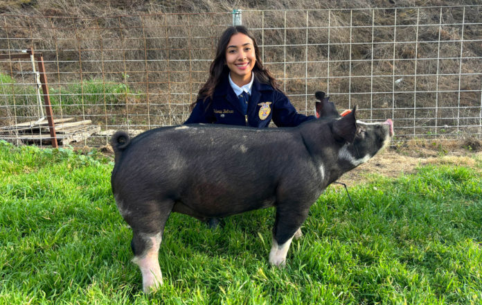 Valeria-Beltran-and-hog