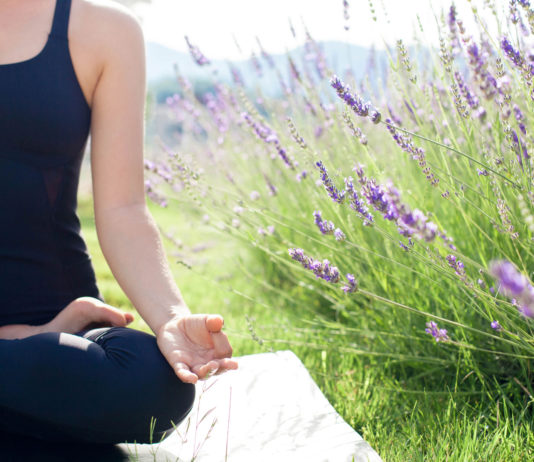 Lavender season comes alive in Greenfield with U-Pick, yoga and more