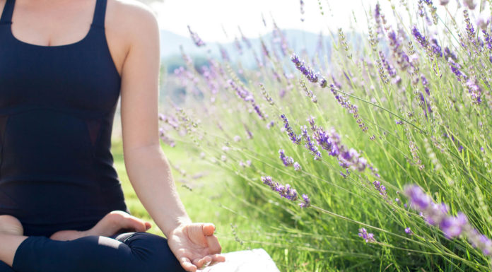 Lavender season comes alive in Greenfield with U-Pick, yoga and more