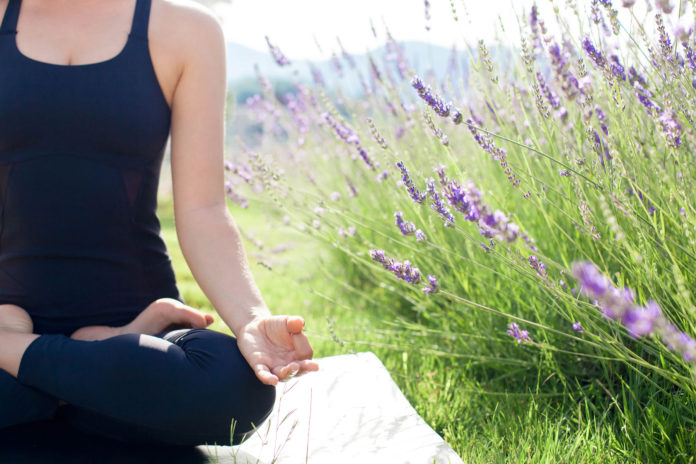 Yoga-in-the-Lavender