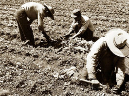 Monterey County Board of Supervisors to mark 50th anniversary of āEl Cortitoā ban