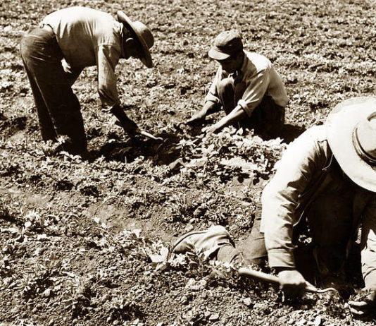 Monterey County Board of Supervisors to mark 50th anniversary of āEl Cortitoā ban