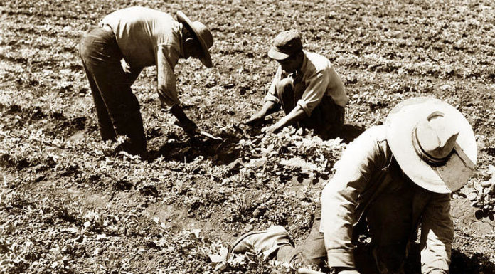 Monterey County Board of Supervisors to mark 50th anniversary of āEl Cortitoā ban