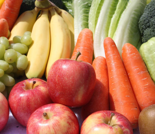 ALBA celebrates National Fruits and Vegetables Month by cultivating new farmersĀ and fresh food in Salinas Valley