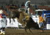 Byram wins 2025 Big Week Bull Riding Xtreme Bulls event Big Week Bull Riding