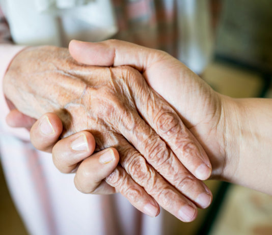 Alliance on Aging releases Local Aging and Disability Action Plan