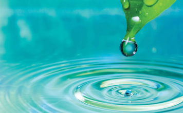 Water Salinas Valley