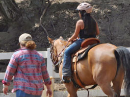 Equine therapy program expands to South Monterey County Wonder Wood Ranch equine therapy