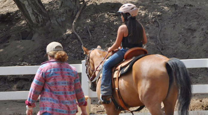 Equine therapy program expands to South Monterey County Wonder Wood Ranch equine therapy