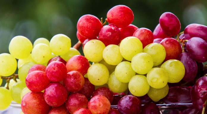 Research suggests fresh grapes are a superfood Grapes