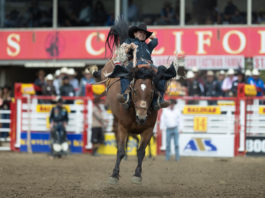Champions crowned at final performance of California Rodeo Salinas Saddle Bronc champion