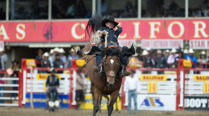 Champions crowned at final performance of California Rodeo Salinas Saddle Bronc champion