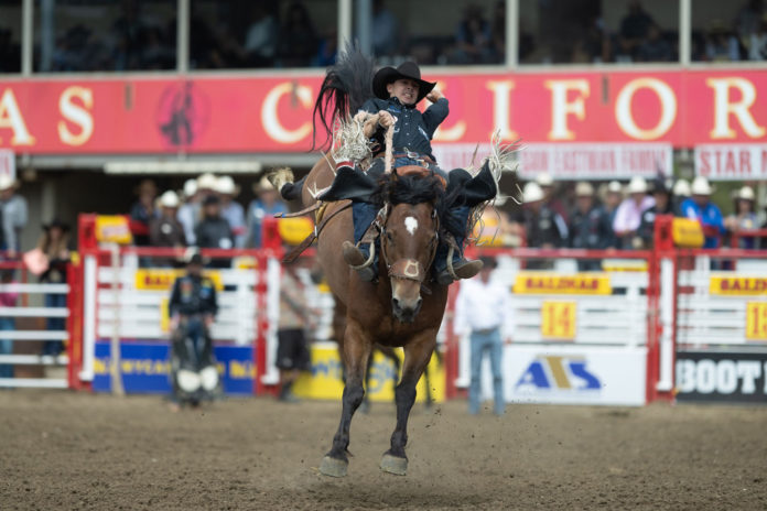 Saddle Bronc champion