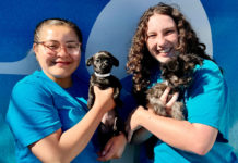 SPCA expands humane education in South Monterey County