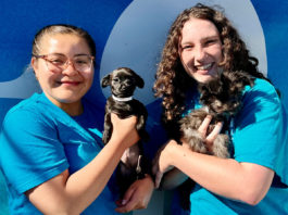 SPCA expands humane education in South Monterey County