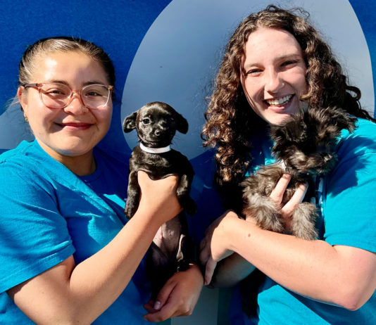 SPCA expands humane education in South Monterey County
