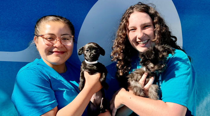 SPCA expands humane education in South Monterey County