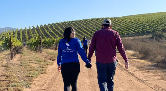Monterey County becomes first in California to earn certified Blue Zones Community designation Blue Zones Project hiking CRU Winery Soledad
