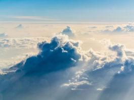 Papillon Center to launch āWind Phoneā project in Monterey County as part of National Grief Awareness efforts