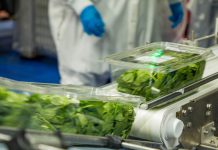 Braga Fresh to close Salinas facility, cutting 260 Jobs Braga Fresh